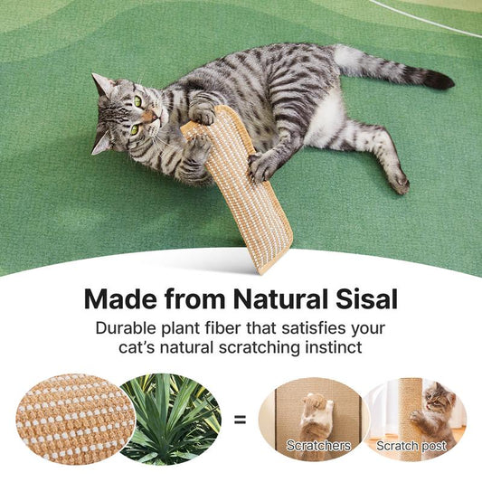 🎄Christmas Sale 49% OFF🐱Interactive Catnip Chew Toy