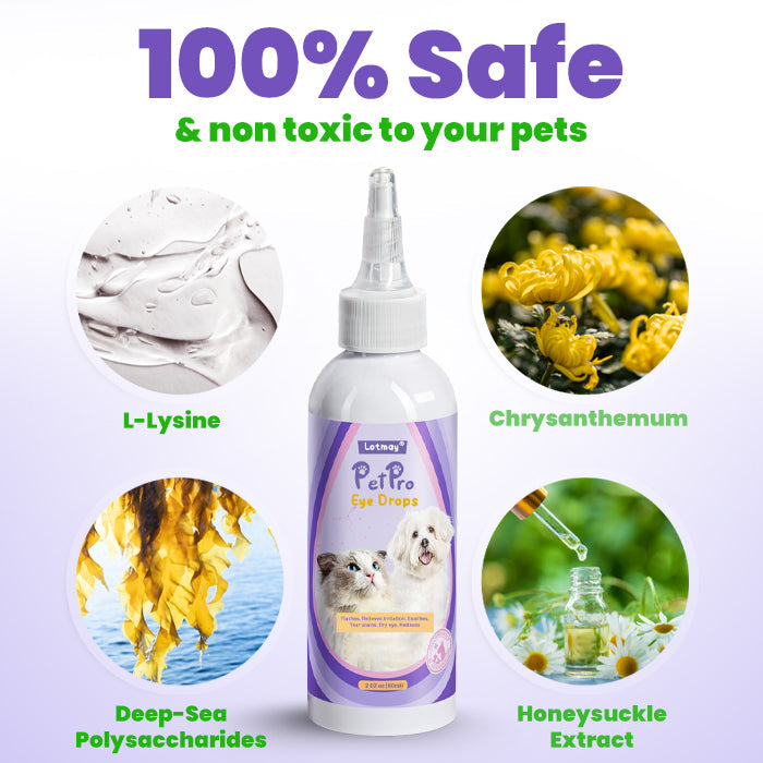 🛡️Lotmay® PetPro Eye Drops-😾Daily L-Lysine Drops for Feline Herpes & Eye Care🐾