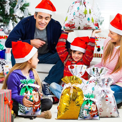 🎅🎁 Christmas Gift Bag